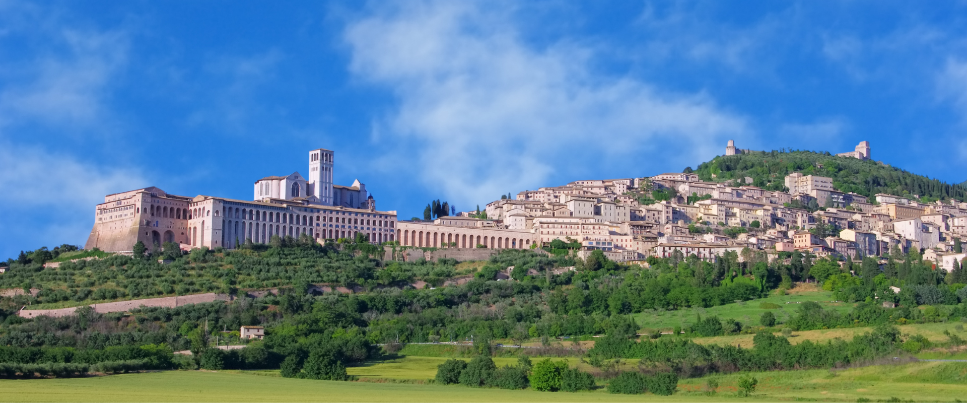 Tra Borghi e Vigne: Un’Avventura Ciclabile nel Cuore dell’Umbria