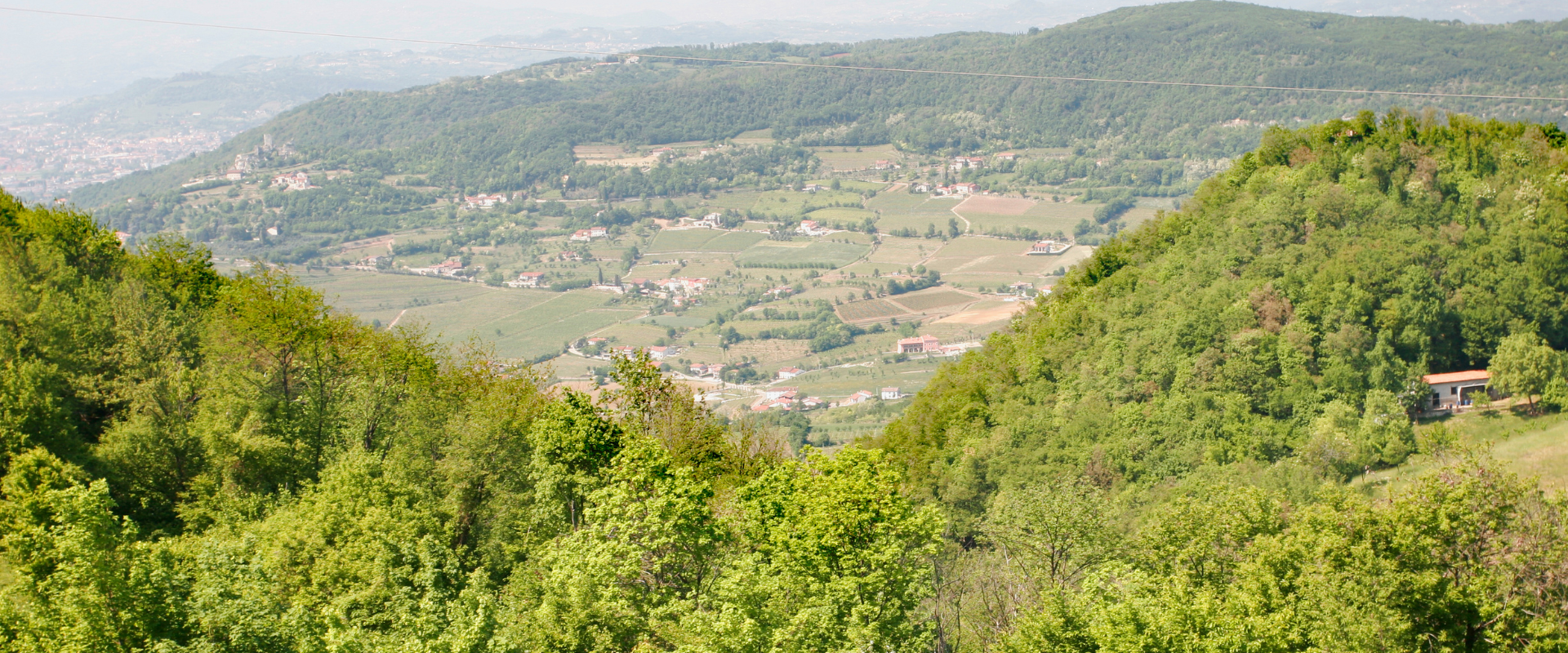 Tra Ville e Colli: Un’esperienza ciclabile nel cuore del Veneto