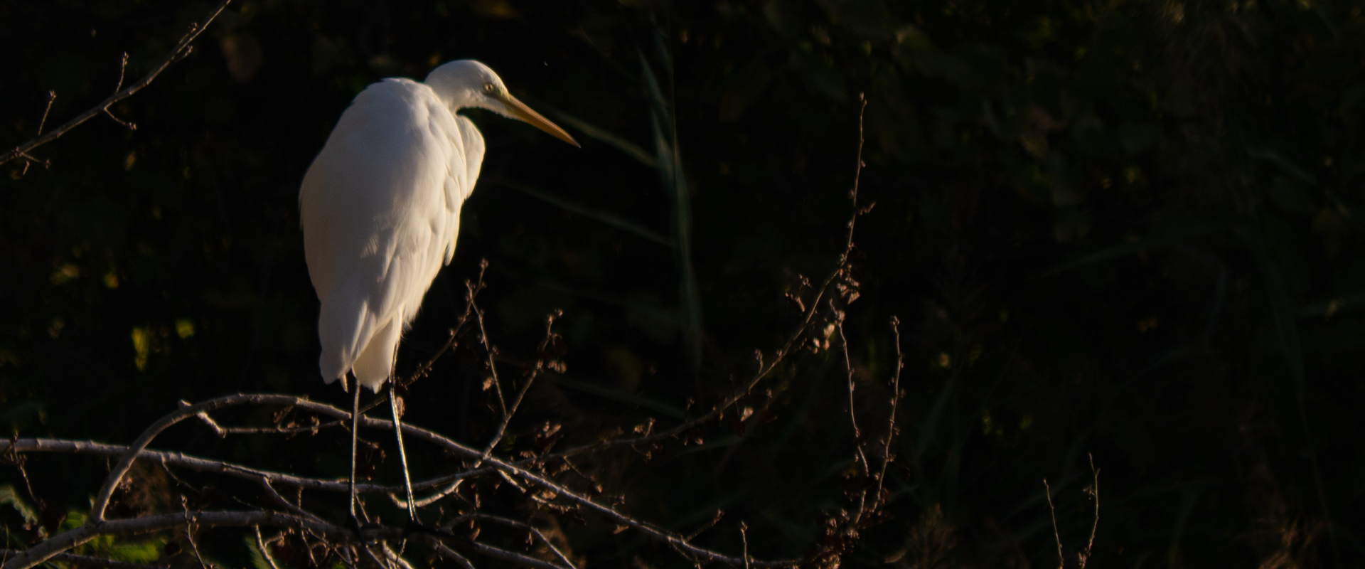 Riserva Naturale Nazzano Tevere-Farfa