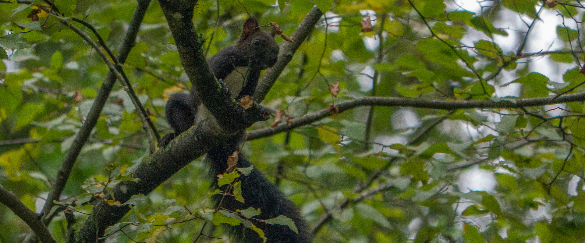 Riserva Naturale Nazzano Tevere-Farfa
