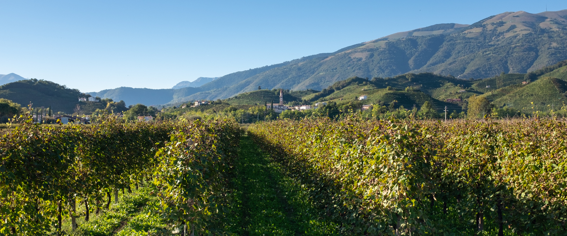 Vidor, itinerario dal Sacro al Prosecco