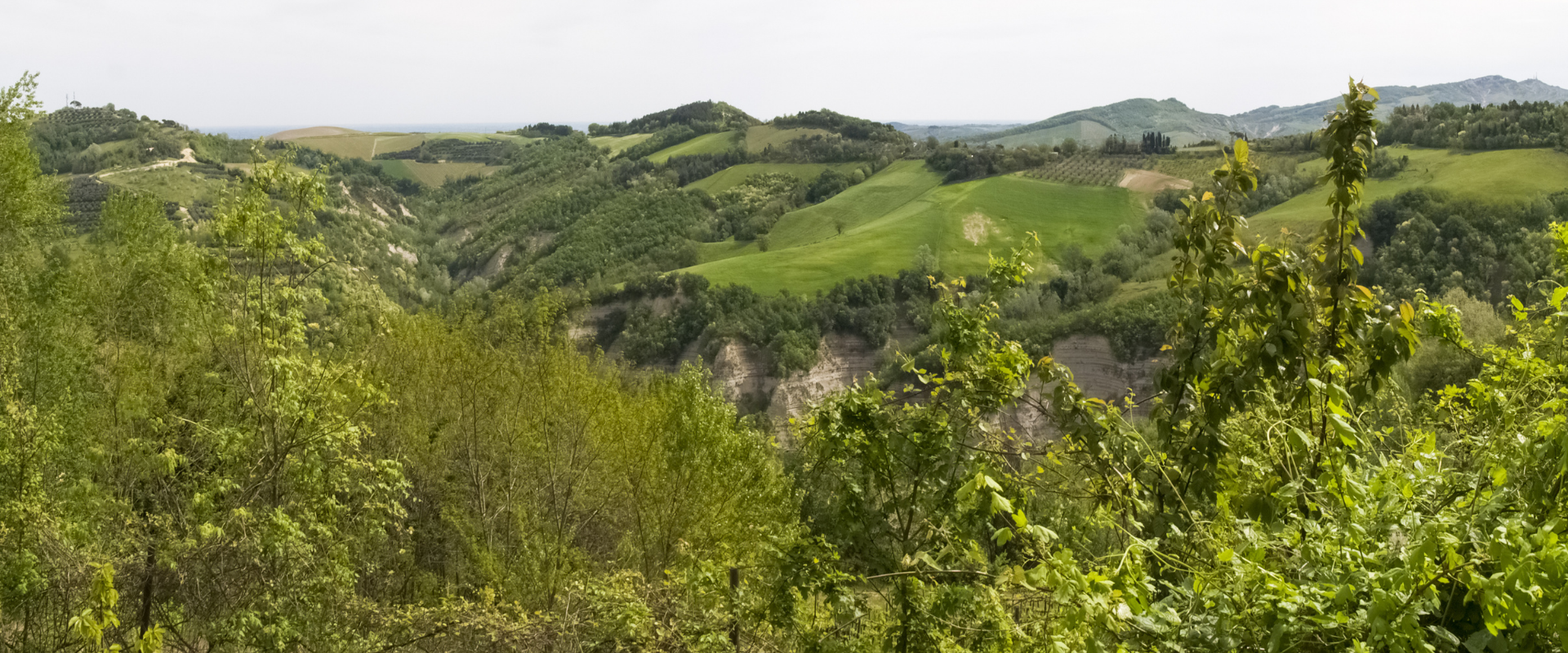 Finale Emilia – Mirandola, giro ad anello