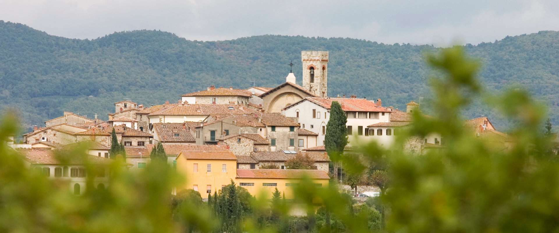 Anello Radda in Chianti – Volpaia: trekking e degustazione vinicola