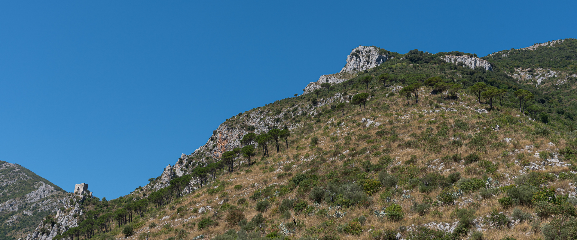 Salita a Monte Santa Croce da Piana di Monte Verna